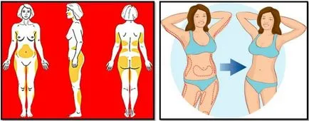 Hogyan lehet fogyni a menopauza idején gyorsan és tartósan módszerek és eszközök