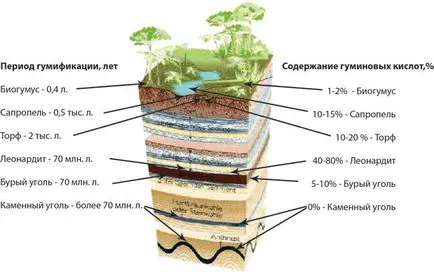 Hogyan kell alkalmazni a kálium-humát különböző termények (alkalmazott) Hogyan kell alkalmazni a kálium humate különböző kultúrák