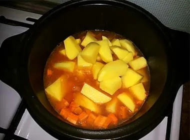 Hogyan kell főzni egy finom pörkölt burgonya, hús nem