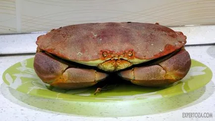 Hogyan kell főzni a rák, expertoza