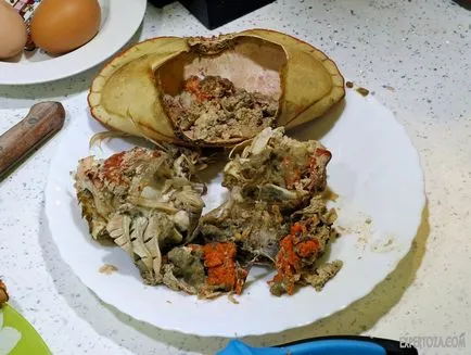 Hogyan kell főzni a rák, expertoza