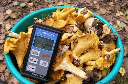 Hogyan lehet ellenőrizni a gombát, amikor főtt a toxicitását minden gombát a hetedik mennyországban