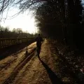 Hogyan lehet fejleszteni a haladási sebesség (hogyan kell futtatni gyorsabb) Hogyan lehet fejleszteni a menetsebesség