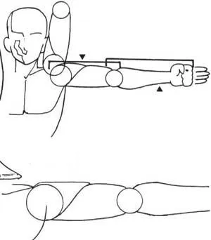 Hogyan kell felhívni a test bázis (Central line kell) Hogyan rajzoljunk Body alapjai