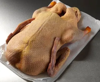 Hogyan lehet csökkenteni a kacsa megfelelően lépésről lépésre recept