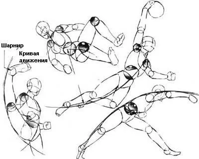 Hogyan kell felhívni a test bázis (test) Hogyan rajzoljunk Body alapjai