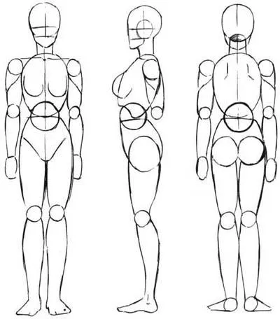 Hogyan kell felhívni a test keret (hogyan kell felhívni a szervezetben) Hogyan rajzoljunk Body alapjai