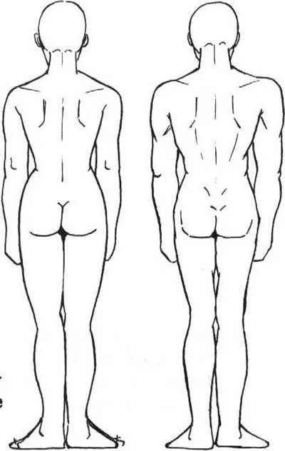 Hogyan kell felhívni a test alap (vonal át) Hogyan rajzoljunk Body alapjai