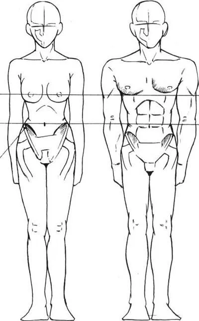 Hogyan kell felhívni a test bázis (festék) Hogyan rajzoljunk Body alapjai