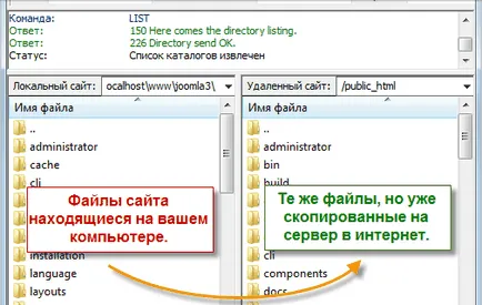 Hogyan kell a fogadó a website-ra egy hosting - webmaster könyvtár