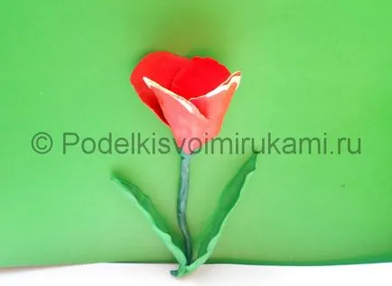 Hogyan készítsünk egy virágot ki gyurmából
