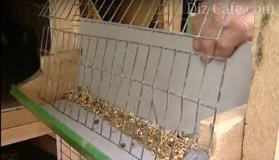 Hogyan készítsünk saját kezét Rabbitry és tervezési egység