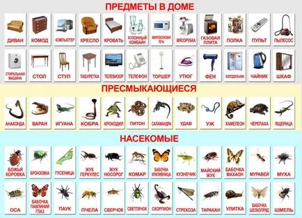 Hogyan tegyük egy kártyát a kezét Glenn Doman, DIY! (Kártyák) Hogyan tegyük egy kártyát a kezét Glenn Doman, DIY!