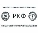 Hogyan készítsünk egy kutya törzskönyvvel (családfa) Hogyan készítsünk egy családfát a kutya