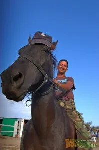 Hogyan készítsünk egy ló várja a találkozót, boldog ló (biztonsági) Hogyan készítsünk egy ló várja a találkozót, boldog ló