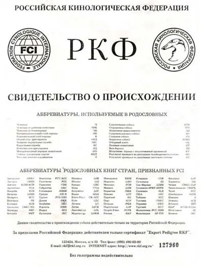 Hogyan készítsünk egy családfát a kutya (hogyan lehet egy kutya törzskönyv) Hogyan készítsünk egy családfát a kutya