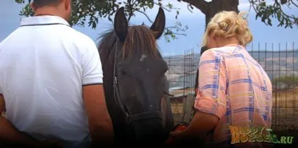 Hogyan készítsünk egy ló várja a találkozót, boldog ló (videó) Hogyan készítsünk egy ló várja a találkozót, boldog ló