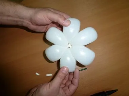 Hogyan készítsünk egy százszorszép származó léggömbök (hogyan százszorszép) Hogyan készítsünk egy százszorszép származó léggömbök