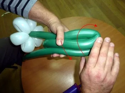 Hogyan készítsünk egy százszorszép felfújható labdák (golyók kamilla) Hogyan készítsünk egy százszorszép származó léggömbök