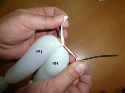Hogyan készítsünk egy százszorszép származó léggömbök (ballonok) Hogyan készítsünk egy százszorszép származó léggömbök