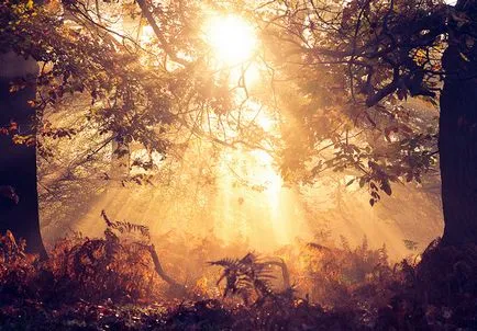 Hogyan kell szedni egy képet a tökéletes naplemente - 7 tipp
