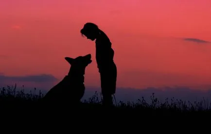 Hogyan lehet eltávolítani a naplemente - 25 tipp, hogy hozzon létre lenyűgöző fotó (hogyan kell lőni a naplemente) Hogyan lehet eltávolítani a naplemente - 25 tipp, hogy hozzon létre lenyűgöző fotókat