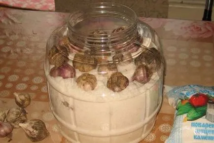 Hogyan tartsuk a fokhagymát a téli otthon (hogyan kell tárolni fokhagyma otthon télen) Hogyan tartsuk a fokhagymát a téli otthon