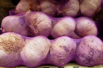 Hogyan tartsuk a fokhagymát a téli otthon (téli) Hogyan tartsuk a fokhagymát a téli otthon