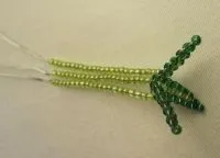 Cactus gyöngy