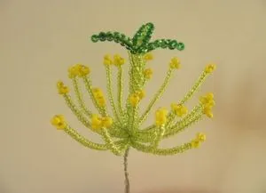 Cactus gyöngy