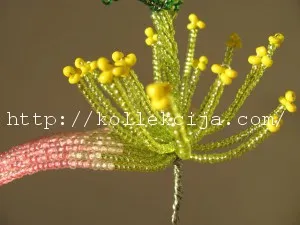 Cactus gyöngy a kezüket, saját kezűleg - Online magazin