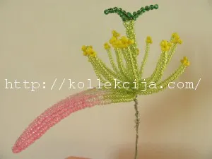 Cactus gyöngy a kezüket, saját kezűleg - Online magazin