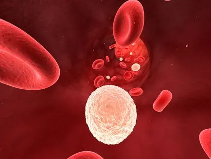 Hogyan lehet javítani a vér - eurázsiai Health Association (javítása) Hogyan lehet javítani a vér - az eurázsiai Szövetsége Egészségügyi