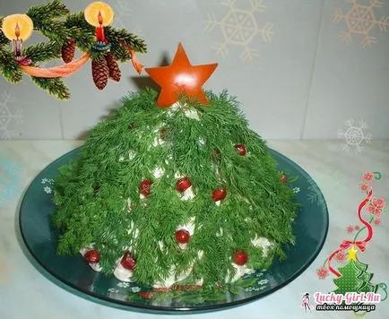 Hogyan díszíteni a saláta alatt bunda 9 változatok