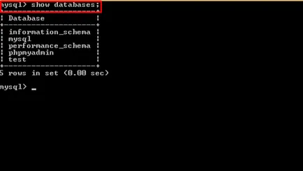 Hogyan kell telepíteni a mysql ablakokra és ne zavarják az agyat