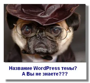 Honnan tudja a nevét, a wordpress téma, hogy telepítve van egy másik helyszínen, Internet káposzta