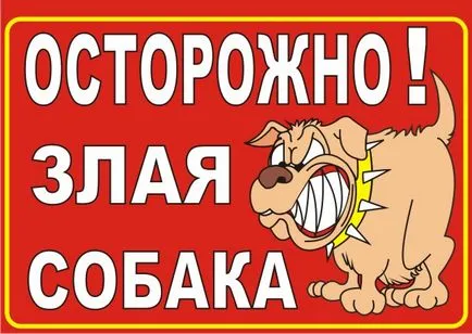 Hogyan viselkednek kutyatámadás