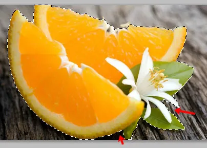 Egy objektum a Photoshop (komplex) Hogyan válasszuk ki az objektumot a Photoshop