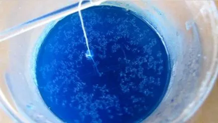 Hogyan növekszik egy kristály réz-szulfát home fotó és videó