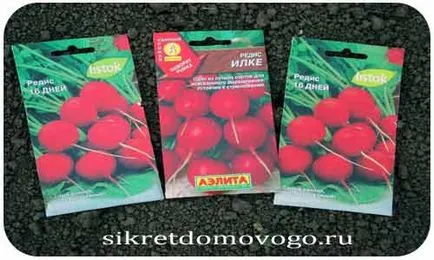 Hogyan nő retek, titkait ház