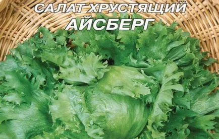 Hogyan nő jégsaláta egy ablakpárkányon otthoni gondozást
