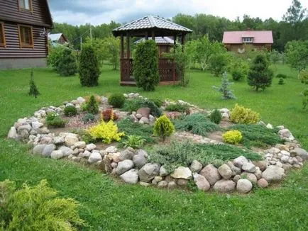 Hogyan növekszik egy ötödik az országban - növények - növények a kertben (arborvitae) Hogyan növekszik egy ötödik az országban - növények - növények a kertben