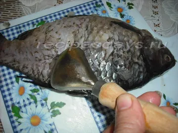 Ízletes és megfelelően ponty megpirítjuk egy serpenyőben, mai recept a (ponty) Ízletes és megfelelően ponty megpirítjuk egy serpenyőben, mai recept a