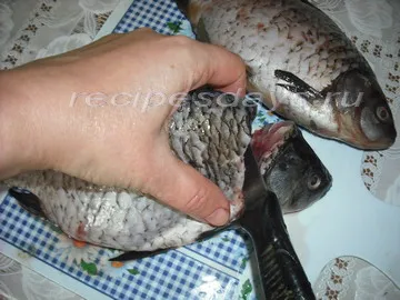 Ízletes és megfelelően ponty megpirítjuk egy serpenyőben, mai recept a (ponty) Ízletes és megfelelően ponty megpirítjuk egy serpenyőben, mai recept a