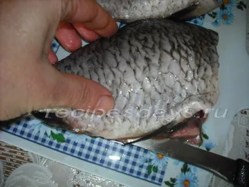 Ízletes és megfelelően ponty megpirítjuk egy serpenyőben, mai recept a (ponty) Ízletes és megfelelően ponty megpirítjuk egy serpenyőben, mai recept a