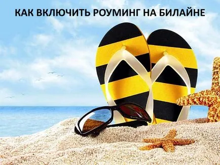 Hogyan lehet engedélyezni barangolás a Beeline - használati előfizetőknek