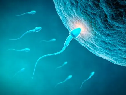 Hogyan, hogy megszülethessen a gyermek, hogyan kell elképzelni egy gyerek, hogyan fogantatás időpontját, mielőtt teherbe egy gyermek (mielőtt teherbe egy gyermek) Hogyan, hogy megszülethessen a gyermek, hogyan kell elképzelni egy gyerek, hogyan fogantatás időpontját, mielőtt teherbe egy gyermek