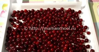 Hogyan befagyasztja a cseresznye a téli fagy a hűtőben cseresznye gödrök, kimagozott