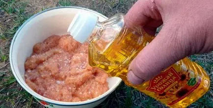 Hogyan savanyú tojás csuka otthon, lépésről lépésre receptek (tojás) Hogyan savanyú tojás csuka otthon, lépésről lépésre receptek