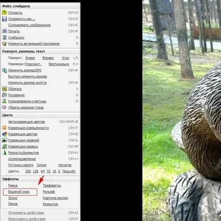 Hogyan védi a fényképeket másolása, expertoza (saját) Hogyan védi a fényképeket másolása, expertoza